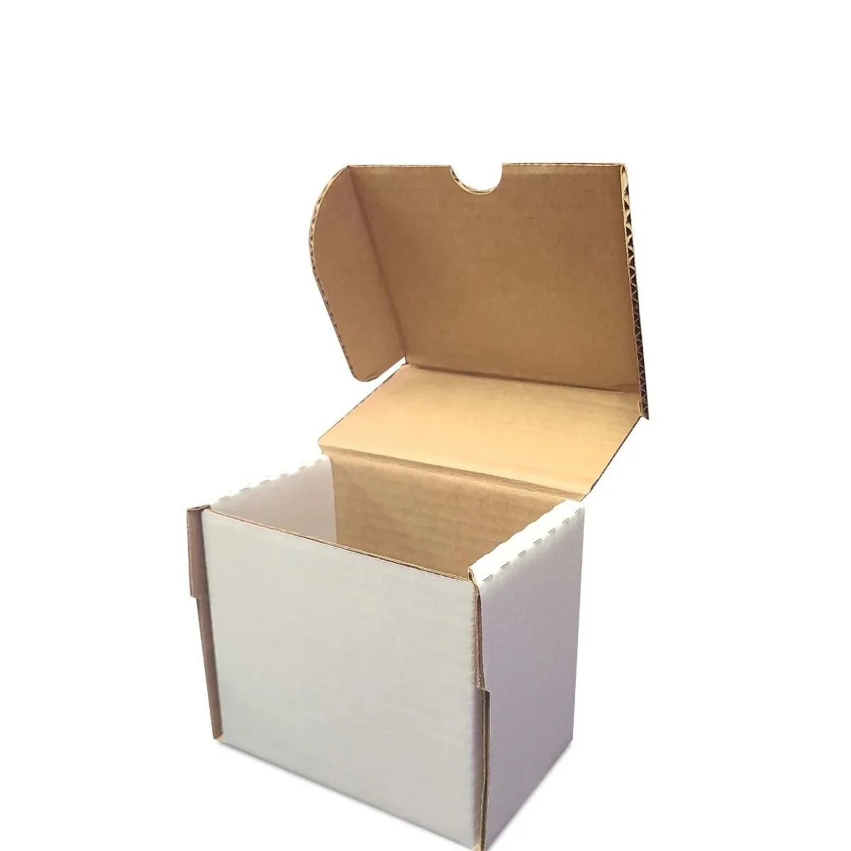 Trading Card Cardboard Storage Boxes (BCW Supplies) (Shipping availability depends on location for larger boxes) - Image 16